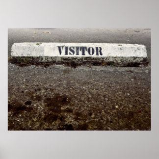 Pôster Just a Visitor