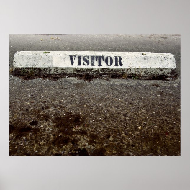 Pôster Just a Visitor (Frente)