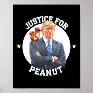Poster Justiça Para O Amendoim O Esquilo - Natal Xmas S