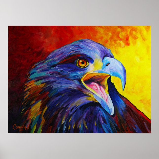 Pôster Juvenile Bald Eagle Print - by Corina St. Martin (Frente)