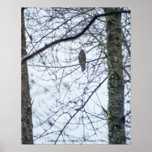 Poster Juventude à borda