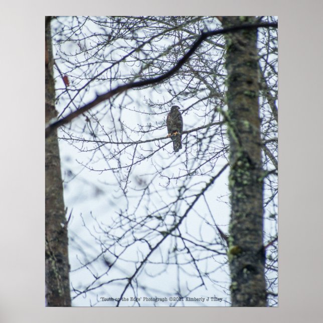 Poster Juventude à borda (Frente)