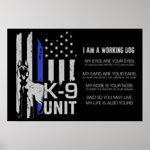 Poster K-9 unidade - unidade Malinois do cão de polícia