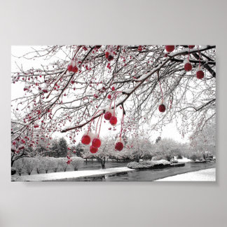 Pôster K&K Winter Berry