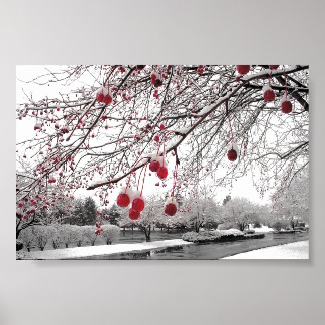 Pôster K&K Winter Berry (Frente)