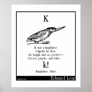 Pôster K was a kingfisher