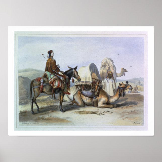 Pôster Kafila com um Camel Bearing a Hodesh, ilustração (Frente)