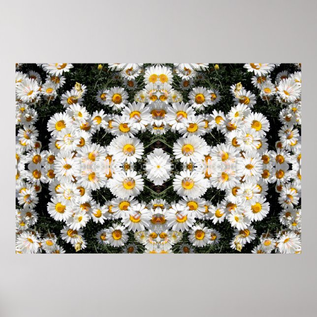 Pôster Kaleidoscope Daisies (Frente)