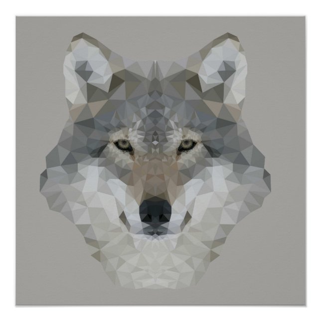 Pôster Kaleidoscope Wolf (Frente)