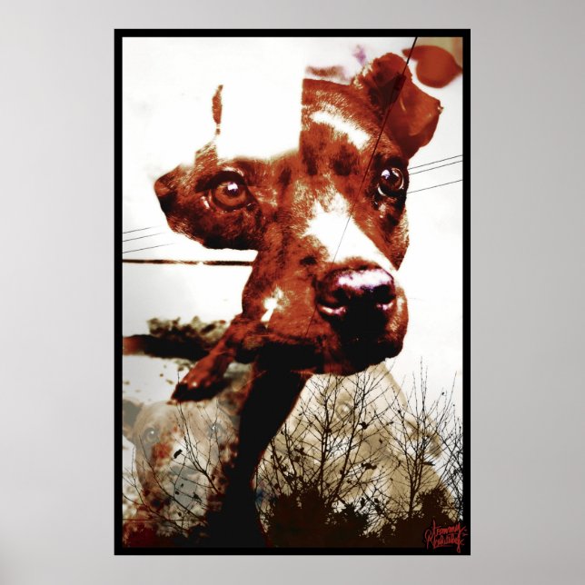 Poster Kali Doggy (Frente)