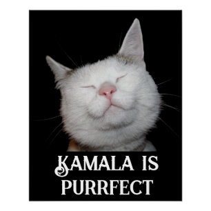 Pôster Kamala é Purrfect