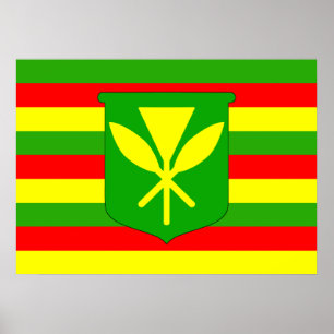 Poster Kanaka Maoli Flag