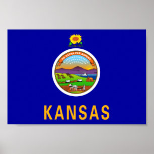 Pôster Kansas Flag