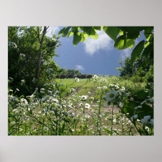 Pôster Kansas Meadows e Wildflower