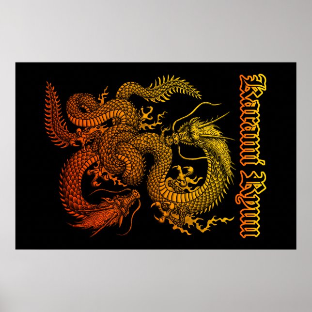 Pôster Karami Ryuu 1a (Frente)