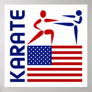 Pôster Karate Estados Unidos