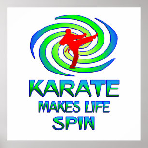 Pôster Karate Spins