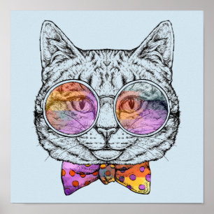 Poster Kat Gatinho Sábio
