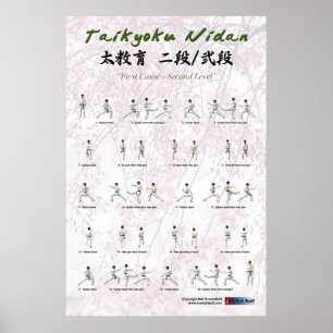 Pôster Kata Taikyoku Nidan - ò kata