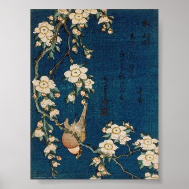 Poster Katsushika Hokusai 葛 飾 北 Goldfinch 斎 e Cherry Tree (Frente)