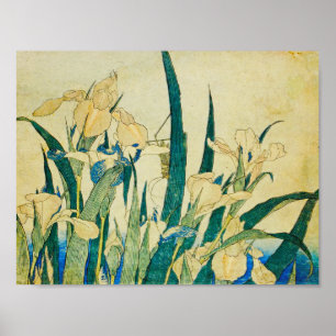 Poster Katsushika Hokusai-Blossoming Irises e Grafopp