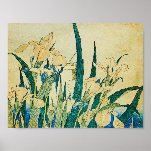 Poster Katsushika Hokusai-Blossoming Irrises e Gafanhotos (Frente)