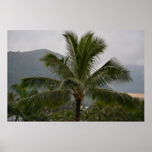 Poster Kauai Hawaii Palm Tree