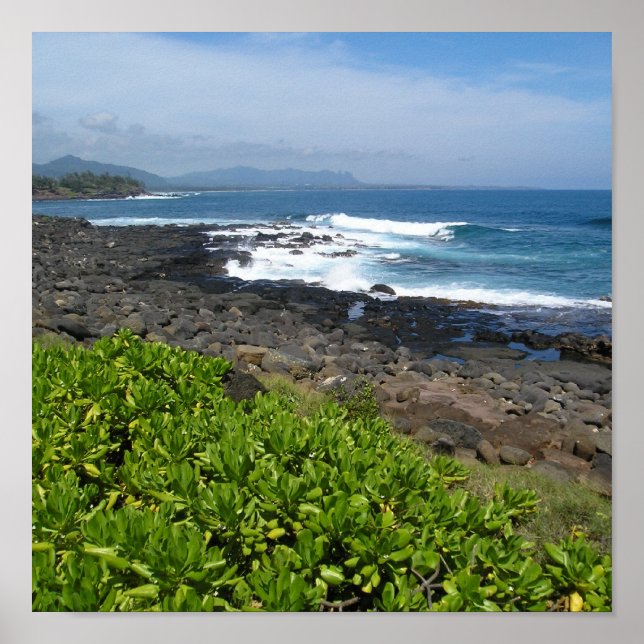 Pôster Kauai suculenta 2 (Frente)