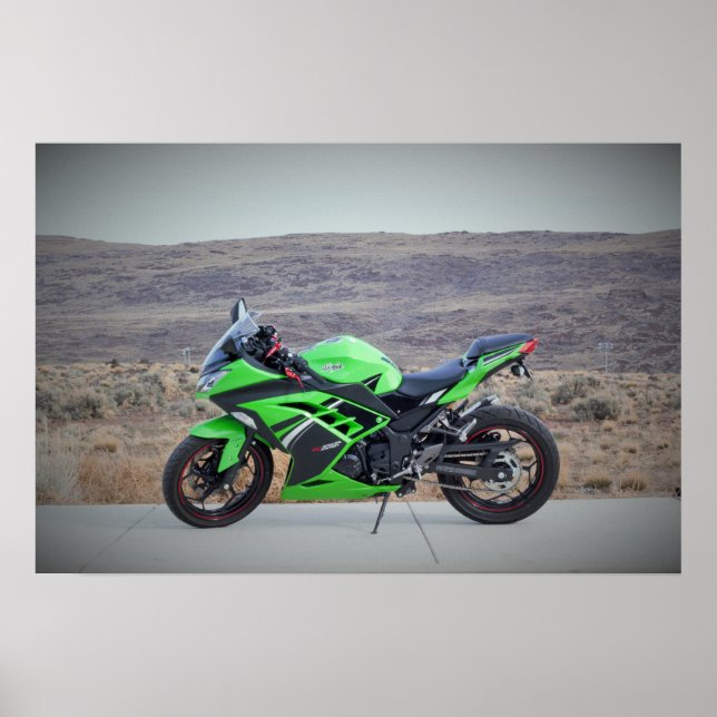 Poster Kawasaki Ninja 300 (Frente)