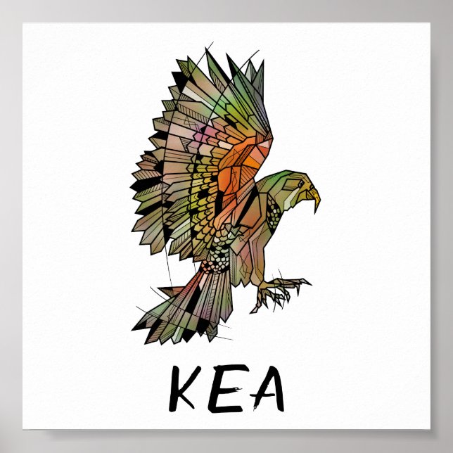 Poster Kea Nova Zelândia Native Bird (Frente)