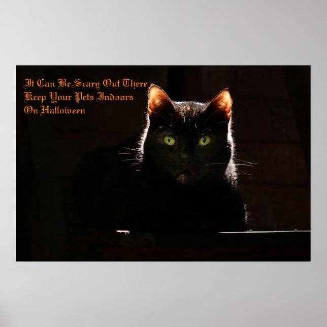 Poster Keep Your Pets Indoors (Frente)