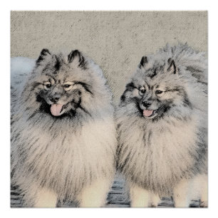 Pôster Keeshond Brothers Painting - Arte Original de Cach