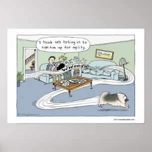Poster Keeshond da "agilidade sala de visitas "