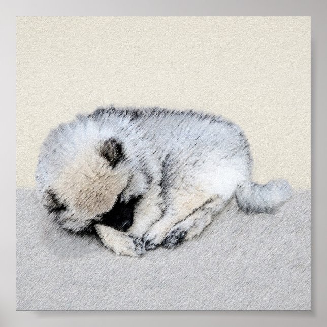 Poster Keeshond Dormindo Puppy Pintura Original (Frente)