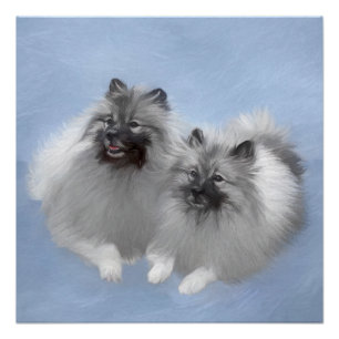 Pôster Keeshond Pair de Kees pintando Arte Animal Origina