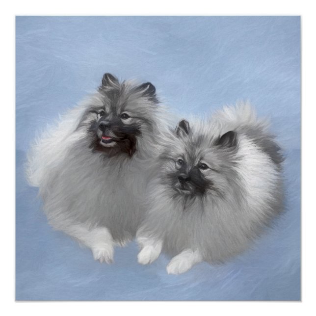 Pôster Keeshond Pair de Kees pintando Arte Animal Origina (Frente)