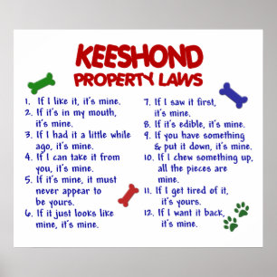 PÔSTER KEESHOND PL2