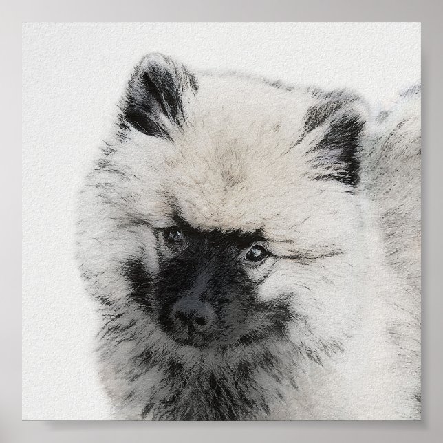 Poster Keeshond Puppy Drapy - Arte Cachorro Original Boni (Frente)