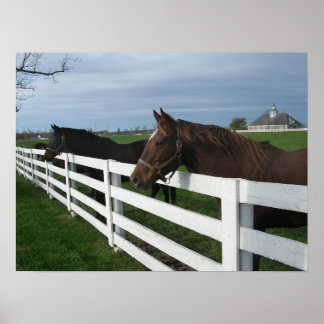 Poster Kentucky Bluegrass Country