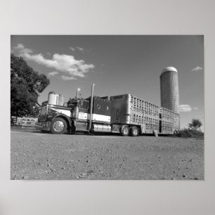 Poster Kenworth um alador modelo dos rebanhos animais