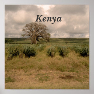 Pôster Kenya