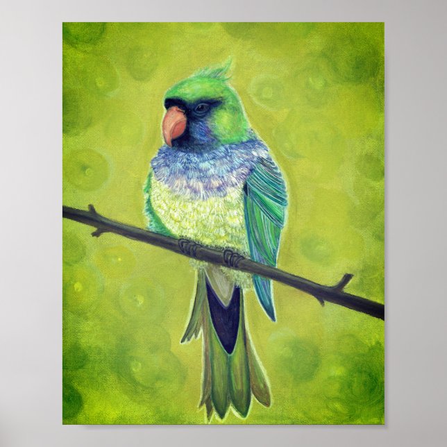 Poster Kesha (Frente)