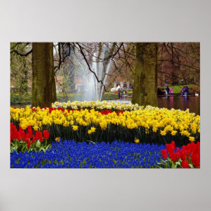 Pôster Keukenhof amarelo jardina, Amsterdão, Países