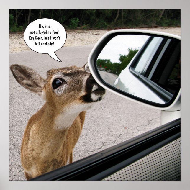 Poster Key Deer falando (Frente)