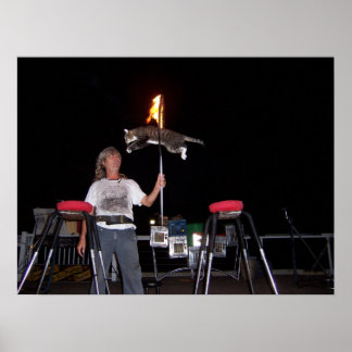 Poster Key West Cat Man