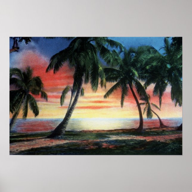Poster Key West Florida Tropical Sunset (Frente)