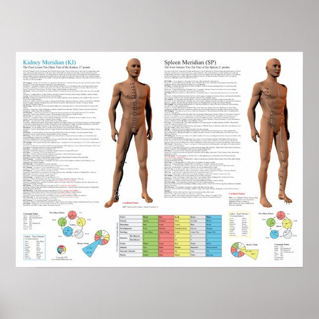 Poster Kidney Meridian Acupuncture Points (Frente)