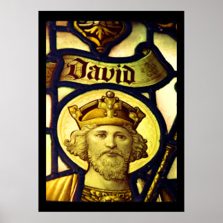 Pôster King David