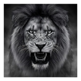 Pôster King of the Jungle