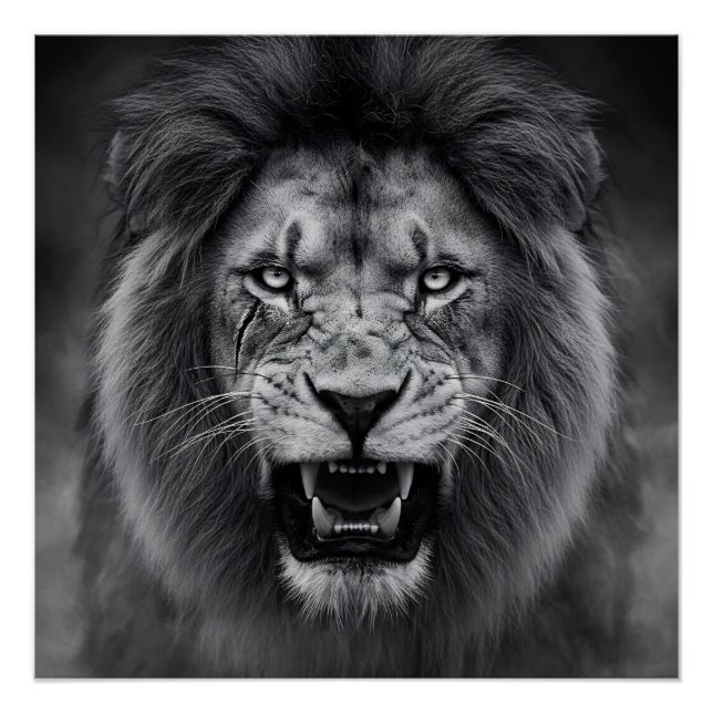 Pôster King of the Jungle (Frente)